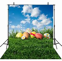 Image result for Easter Photography Specials