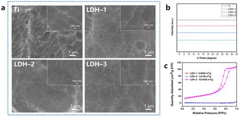 Enhanced Bactericidal Effect of Calcinated Mg–Fe Layered Double ...
