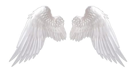 Realistic Angel Wings PNG File | PNG Mart
