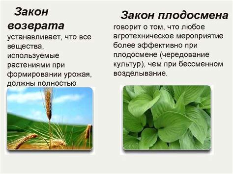 Биологические основы сельского хозяйства Составитель Сербина И. И.