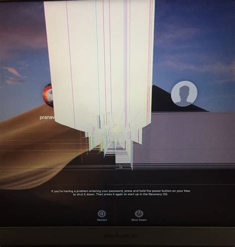 Apple MacBook Air display problem - Ask Different