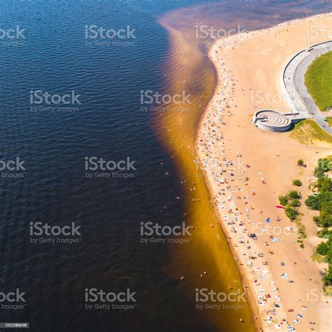 Swim in the Sun 的图像结果