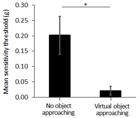 Forehead Tactile Hallucination Is Augmented by the Perceived Risk and ...