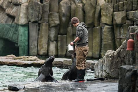 How Much Do Zookeepers Make