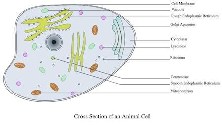 Closed System Overview & Examples | What Is a Closed System in ...