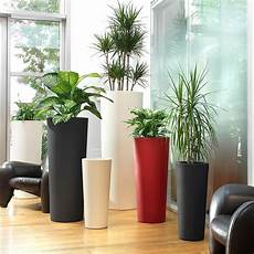 vasi per arredamento interno vaso conico alto per esterno e giardino schio vasi per arredamento interno vaso conico alto per esterno e giardino schio