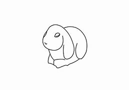 Image result for Cute Holland Lop Bunnies