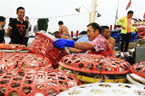 舟山：渔船回港 卸货避风-影像中心-浙江在线