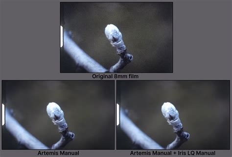 Enhancement | Topaz Video AI