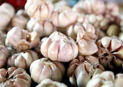 manfaat mengonsumsi bawang bombay