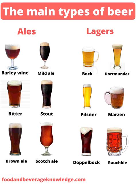What Are The Different Types Of Beer? - Food And Beverage Service