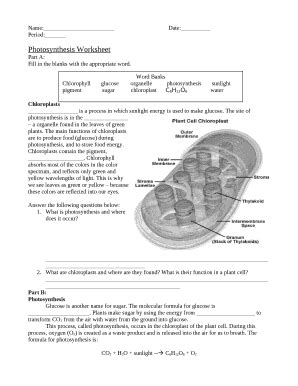 Photosynthesis Worksheet - Fill Out, Sign & Share Online | pdfFiller