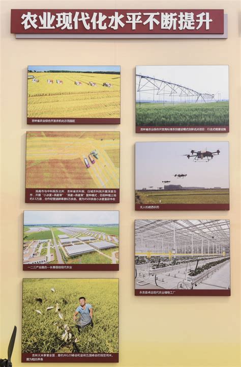 农业现代化 的图像结果