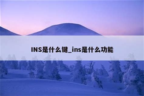 INS是什么键_ins是什么功能 - INS相关 - APPid共享网