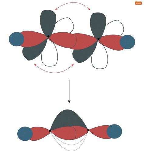 Image result for Hybridization Examples