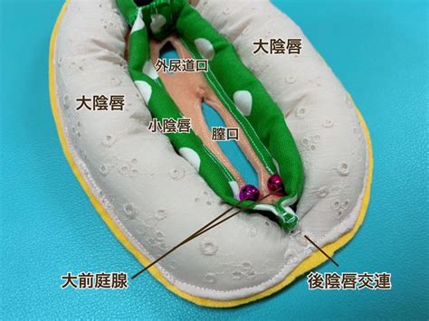 Image result for Virtual Science Lab