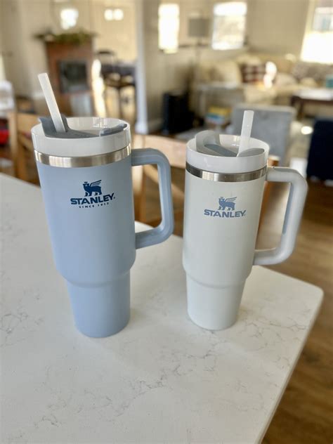 Stanley Cup - Is it Worth It? | Feathers and Stripes