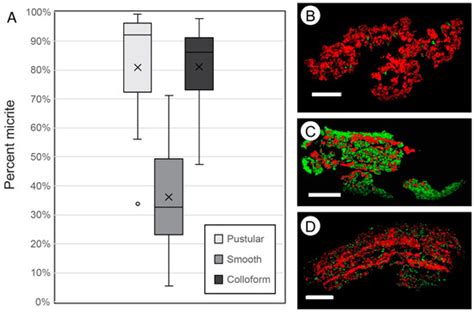 Geosciences | August 2022 - Browse Articles