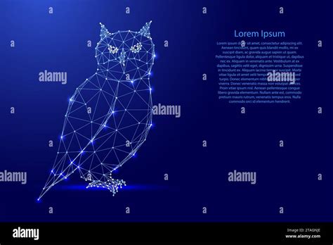 Knowledge Symbol 的图像结果