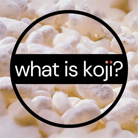 What is koji? The mold behind Japan's most iconic flavors – Koji House