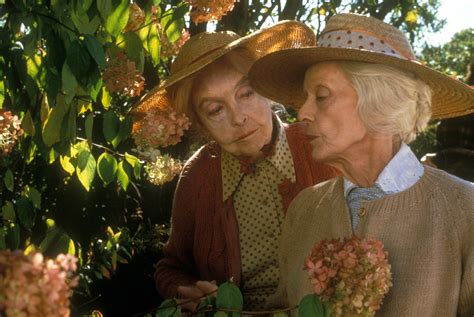 The Whales of August. 1987. Directed by Lindsay Anderson | MoMA