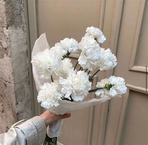 “听说第一次送花的人和第一次收到花的人会永远在一起”_腾讯新闻