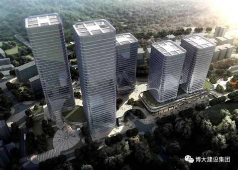 市建筑工务署组织参观中建钢构深圳第三代指挥中心项目基坑施工