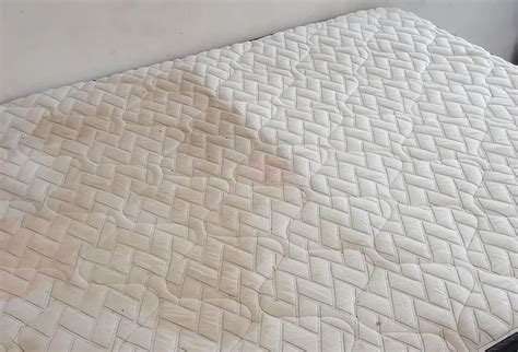Image result for How to Clean Box Spring Mattress