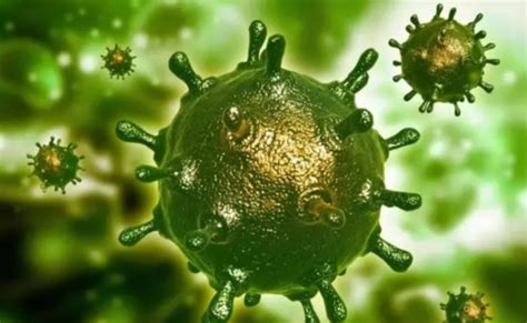 新型冠状病毒（2019-nCoV）认识和预防 - 知乎