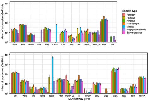 Identification of the Gene Repertoire of the IMD Pathway and Expression ...