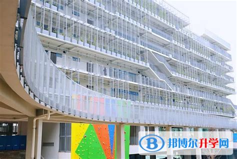 深圳国际交流学院2021首轮入学考试考情分析讲座 - 哔哩哔哩