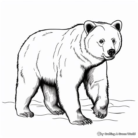 Hibernating Bear Coloring Pages