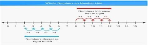 What is number line? - Brainly.in