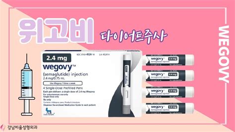 위고비 주사 설명 이미지