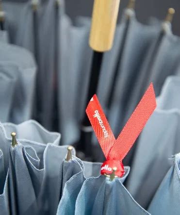 Company Overview - Huizhou Sishun Umbrella Co., Ltd.