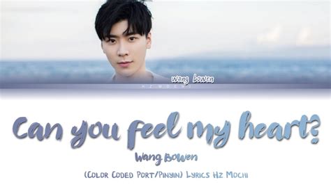 Wang Bowen (王寶文|) - Can you see my heart (你能看到我的心吗) [Color Coded Tradução/Pinyin] Lyrics: Hz Mochi