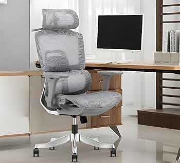 MRC Status Ergonomic Office Chair, Mesh High Back Home Office Computer ...