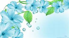 Wallpaper Of Fresh by Fresh S Wallpaper 1920x1080 74095 Wallpaper Of Fresh