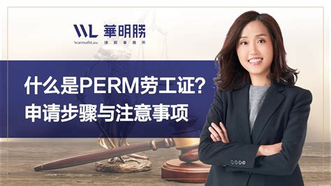 什么是PERM劳工证？申请步骤与注意事项 - YouTube