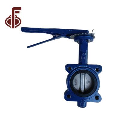 Image result for Wafer Connection Valve Installation