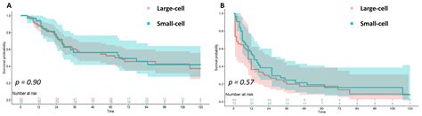 Equivalent Survival between Gastric Large-Cell Neuroendocrine Carcinoma ...