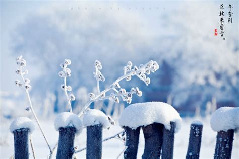 冬天去哪看雪好？冬天哪里的雪景最漂亮？中国最美雪景在哪里？ - 马蜂窝