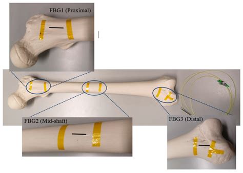 Application of Fibre Bragg Grating Sensors in Strain Monitoring and ...