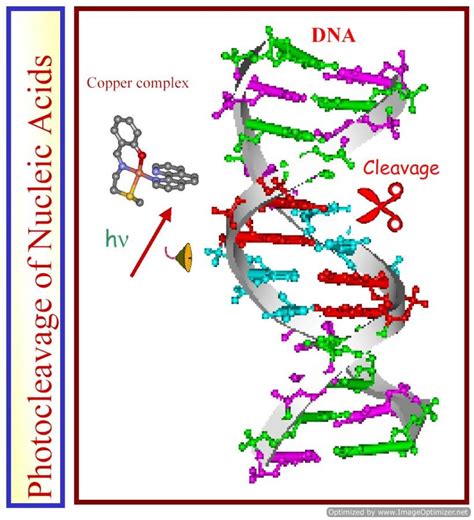 IPC: Chakravarty A R