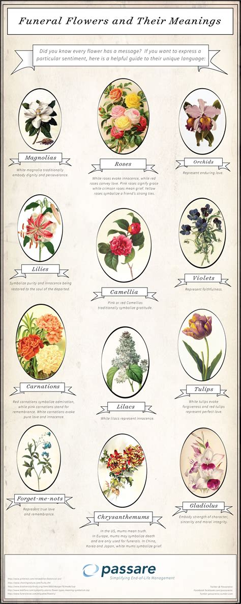 Funeral Flowers and their Meaning. Shared via Passare. | Flower ...