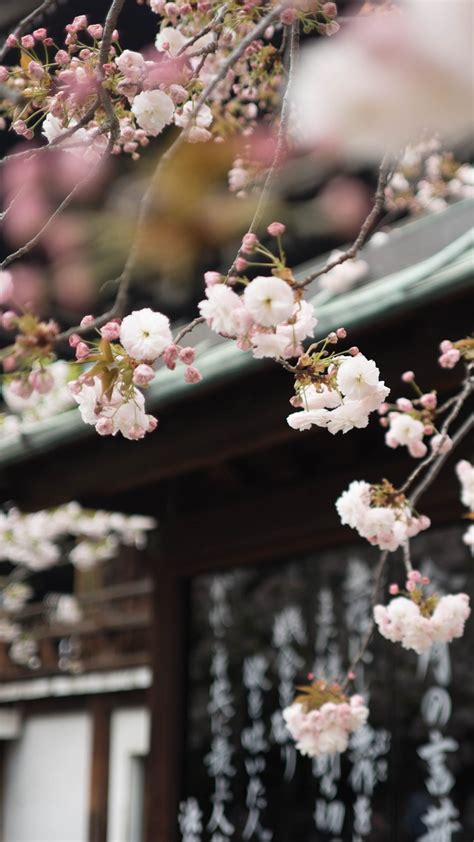 5 Bestselling Japanese Self-Help Books for Personal Growth