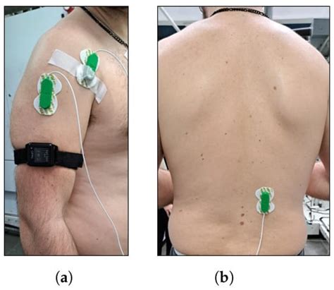 Biomechanical Effects of Using a Passive Exoskeleton for the Upper Limb ...