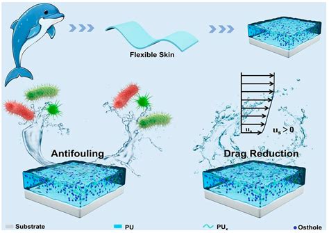 Research Progress of Marine Anti-Fouling Coatings