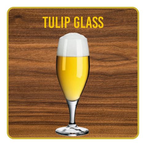 The World Of Beer Glasses: Which Shape for Which Beer Style