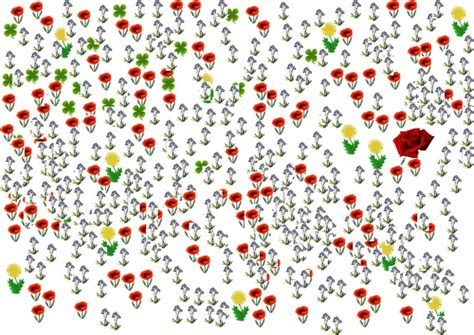 Image result for Free Science Lessons Using Quadrats